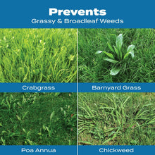 Scotts-Turf-Builder-Halts-Crabgr2_5c95368c-b7bc-43b4-8395-fc82aa07bde9 - Brands For Less USA