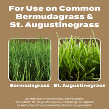 Scotts-Turf-Builder-Weed-Feed-fo4 - Brands For Less USA