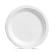 Chinet Classic Dinner Paper Plates, 10-3/8", 165 ct.