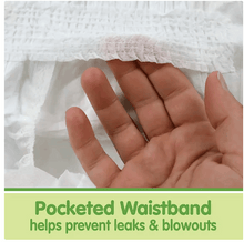 Member's Mark Premium Baby Diapers (Sizes: Newborn - 7)