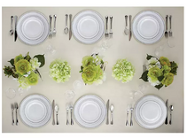 Member's Mark Premium Plastic Heavyweight Plates, Combo Pack 48 ct.