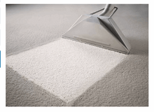 Member's Mark Commercial Carpet Cleaner Concentrate (Choose Pack Size)
