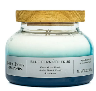 Better Homes & Gardens 18oz Blue Fern & Citrus Scented 2-Wick Ombre Bell Jar Candle