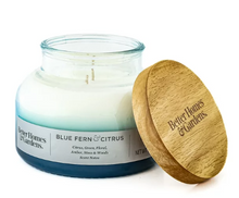 Better Homes & Gardens 18oz Blue Fern & Citrus Scented 2-Wick Ombre Bell Jar Candle