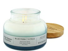 Better Homes & Gardens 18oz Blue Fern & Citrus Scented 2-Wick Ombre Bell Jar Candle