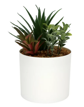 Mainstays 6.8” Artificial Mixed Succulent Plants in White Planter Pot
