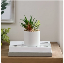 Mainstays 6.8” Artificial Mixed Succulent Plants in White Planter Pot