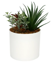 Mainstays 6.8” Artificial Mixed Succulent Plants in White Planter Pot