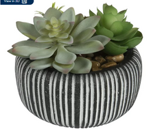 Better Homes & Gardens 4.72" H Artificial Succulent Plant in Stone Pot, Multi-Color
