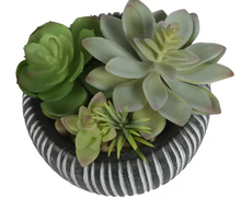 Better Homes & Gardens 4.72" H Artificial Succulent Plant in Stone Pot, Multi-Color