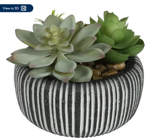 Better Homes & Gardens 4.72" H Artificial Succulent Plant in Stone Pot, Multi-Color