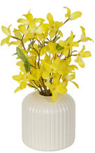 Better Homes & Gardens 10" Artificial Flower Yellow Forsythia in Ribbed off-White Ceramic Vase