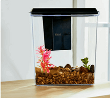 Aqua Culture Plastic 1 Gallon Aquarium with Accessories, Black, 10.1''L x 6.76''W x 8.12''H