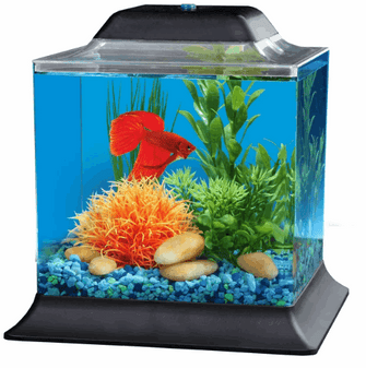 KollerCraft 1.5-Gallon Betta Fish Aquarium Kit