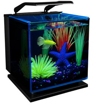 GloFish Betta Glass Aquarium Kit 3 Gallons, Includes LED Lighting and Filter