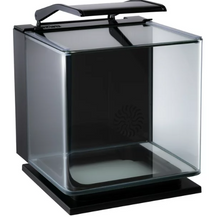 GloFish Betta Glass Aquarium Kit 3 Gallons, Includes LED Lighting and Filter