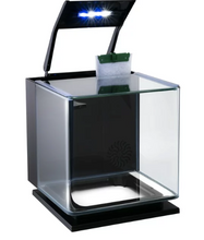 GloFish Betta Glass Aquarium Kit 3 Gallons, Includes LED Lighting and Filter