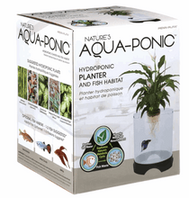 Penn-Plax Aqua-Ponic Betta Tank & Hydroponic Planter – Promotes a Healthy Environment for Plants and Fish – 1.4 Gallon