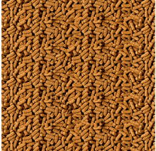 TetraPond Spring And Fall Diet 1.72 Pounds, Pond Fish Food, For Goldfish And Koi