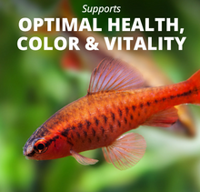 Tetra TetraMin Balanced Diet Tropical Fish Food Flakes, 7.06 oz