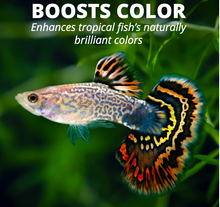 Tetra TetraMin Balanced Diet Tropical Fish Food Flakes, 7.06 oz