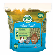 Oxbow Premium Alfalfa Hay Small Animal Food for Rabbits & Small Animals- 40 oz
