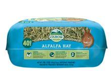 Oxbow Premium Alfalfa Hay Small Animal Food for Rabbits & Small Animals- 40 oz