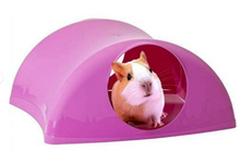 Lixit Critter Hollow Home for Guinea Pigs, Rats, and Other Small Animals