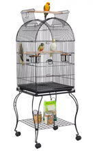 Renwick Rolling Metal Parrot Cage with Open Top For Small Birds, Black, 59" H