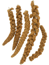 FM Brown Extreme Spray Millet Treat 16 oz.