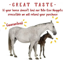 Manna Pro Bite-Size Apple Flavor Nuggets Treats for Horses 4lbs.
