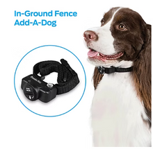 Premier Pet In-Ground Add-A-Dog Collar