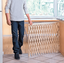 Evenflo Expansion Walk Thru Room Divider Gate