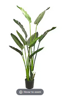 Planta artificial decorativa de palma viajera en maceta de 5 pies de Winward