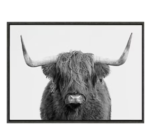 Kate and Laurel Sylvie B&W Highland Cow No. 1 Portrait Framed Canvas Wall Art by Amy Peterson, 28x38 Gray