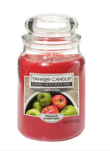 Yankee Candle Jar Candle, 19 oz. - Fresh Apple