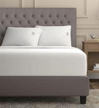 Sealy Sterling Collection Down-Alternative Pillow, 2-pack