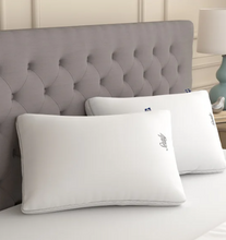 Sealy Sterling Collection Down-Alternative Pillow, 2-pack