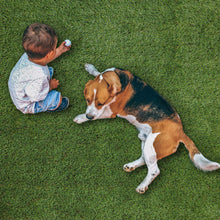 SelectSurfacesEvergreenArtificialGrassRoll_ChooseSize3 - Brands For Less USA