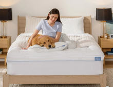 Serenity by Tempur-Pedic 2+1 Pillowtop Mattress Topper