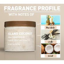 (3 pack)  Shea Sugar Scrub, Island Coconut Scent, 18 oz