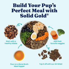 Solid-Gold-Bone-Broth-with-Turmeric-Dog-Food-Topper-16-oz-2-pk-1-_9 - Brands For Less USA