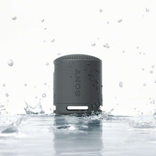 Sony SRSXB100 Bluetooth Portable Speaker