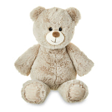 Spark Create Imagine Soft Bear Plush with Beans, 17 in, 0 Months+ - Brands For Less USA