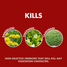 Spectracide-Weed-Grass-Killer-Re2_c3c27127-bfeb-44a7-a6ec-15d15c5417d1 - Brands For Less USA