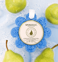 Spongelle Wild Flower Bath Sponge, 4-pack