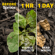 Spruce Weed and Grass Killer Power Spray Starter Kit, 64 oz