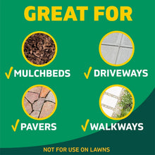 SpruceWeed_GrassKillerKit_1PowerSprayStarterKitand1Refill_64ozx64oz1 - Brands For Less USA