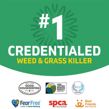 SpruceWeed_GrassKillerKit_1PowerSprayStarterKitand1Refill_64ozx64oz6 - Brands For Less USA