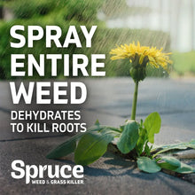 SpruceWeed_GrassKillerKit_1PowerSprayStarterKitand1Refill_64ozx64oz - Brands For Less USA